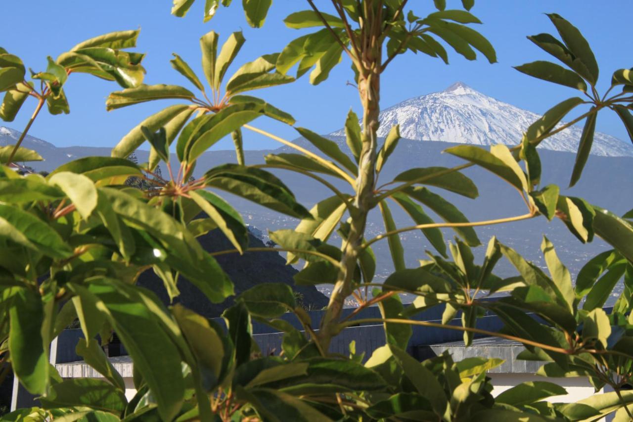 Vistamar Διαμέρισμα Santa Úrsula Εξωτερικό φωτογραφία
