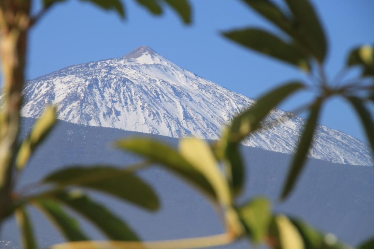 Vistamar Διαμέρισμα Santa Úrsula Εξωτερικό φωτογραφία